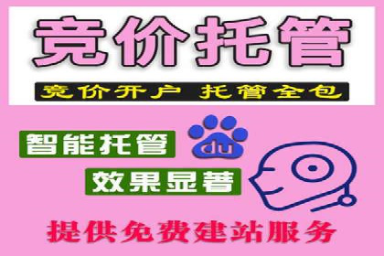 百度竞价与搜索引擎优化（SEO）的协同效应案例